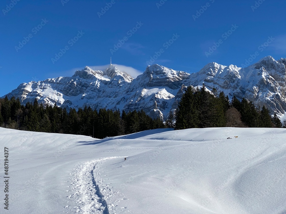 Wonderful winter hiking trails and traces on the fresh alpine snow cover of the Swiss Alps, Schwägalp (or Schwaegalp) mountain pass - Canton of Appenzell Ausserrhoden, Switzerland (Schweiz)
