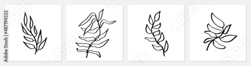 One line tropical palm tree leaves. Modern single line art leaf drawing, plants outline contour isolated. Perfect for home decor posters, wall art or print, label, logo. Vector illustration