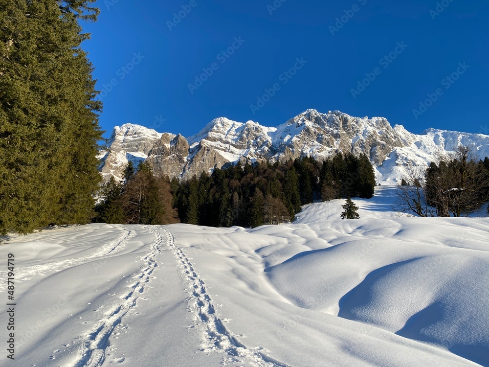 Wonderful winter hiking trails and traces on the fresh alpine snow cover of the Swiss Alps, Schwägalp (or Schwaegalp) mountain pass - Canton of Appenzell Ausserrhoden, Switzerland (Schweiz)