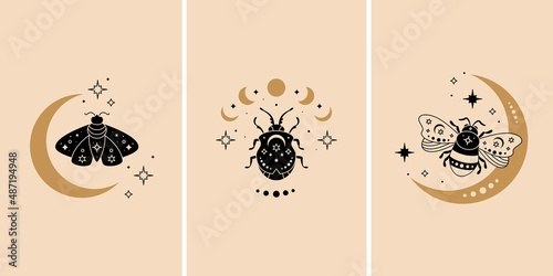 Boho celestial butterfly, bee and bug vector illustration set. Mystical moth with moon phases, magic composition. Black magic insect, esoteric symbol. Design for poster, social media, card, tattoo.