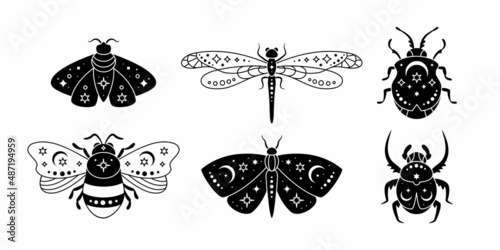 Vector set of geometric celestial magical insects in bohemian style. Mystical collection of luna moth, butterfly, bug, dragonfly, bee. Magic insect on white background.