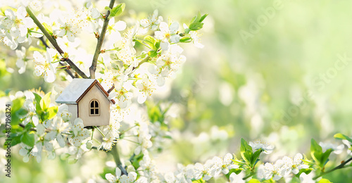 white toy house and cherry flowers, spring abstract natural background. concept of mortgage, construction, rental, family and property. eco-home. spring season. copy space