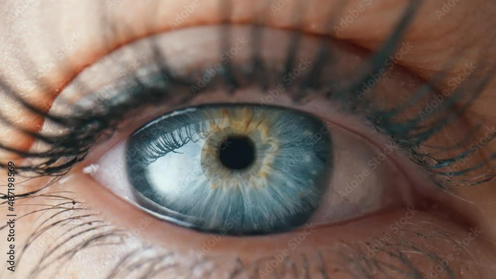 Opening and blinking female eye with a blue iris and long lashes painted with mascara. Gray eye close up of the iris and the pupil dilation and contracts. Eyeball, retina, eyelid. Slow motion.
