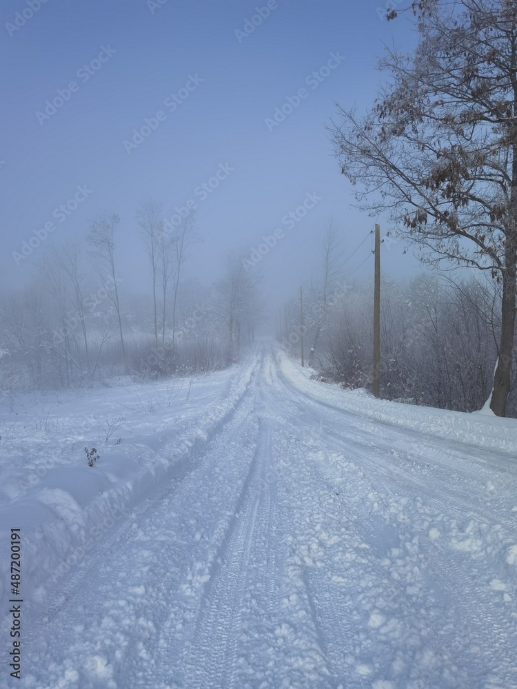 road in winter road in winter