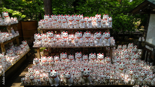 Quadro su tela Hundreds of Maneki Neko are adorned along the paths in Gotokuji Temple, Setagaya