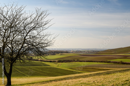 landscape with trees