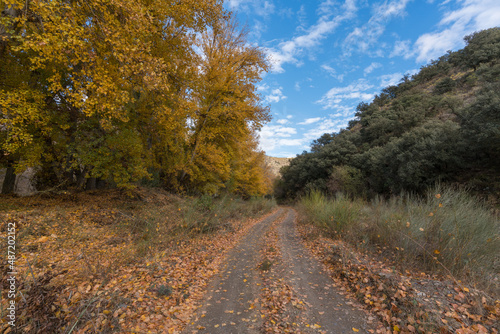 dirt road in the mountains