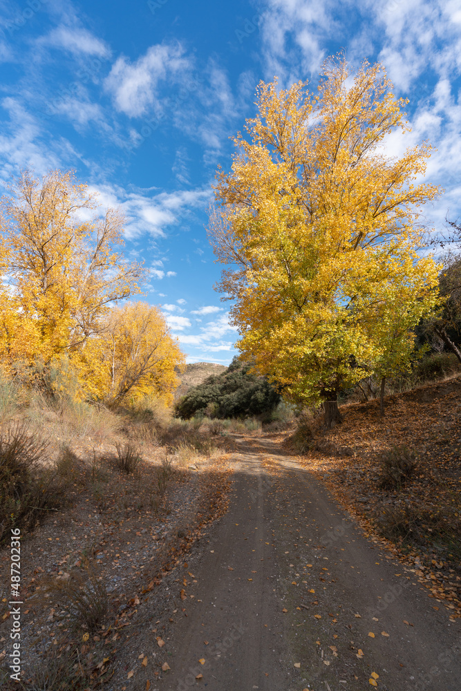 Fototapeta premium dirt road in the mountains