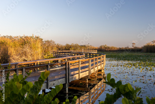 Anhinga Trail Boardwalk through the Everglades National Park, Florida, USA. photo