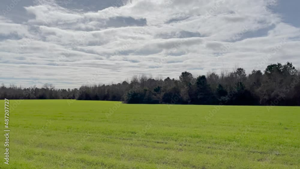 Slow pan of beautiful green farmland in rural Georgia in the winter