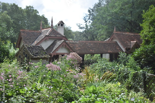 old house in the forest