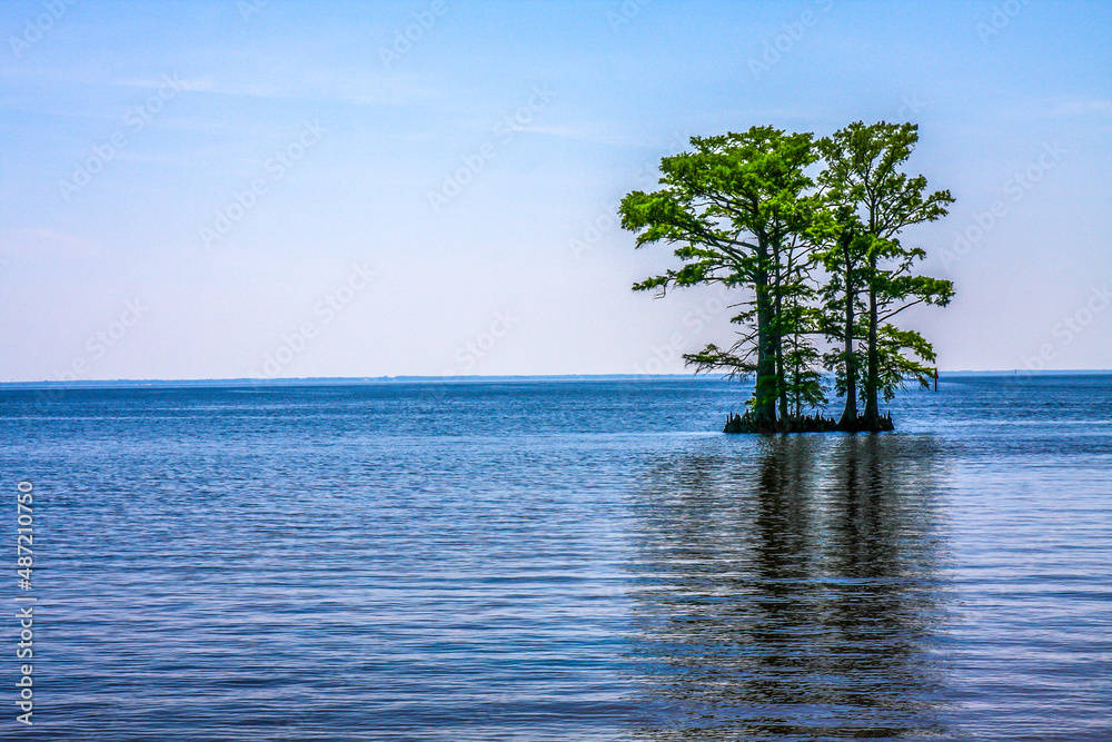 Cypress Sea Cypress Sea