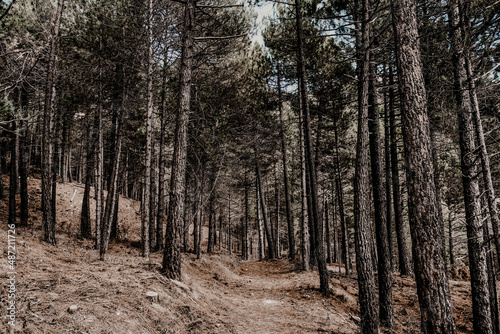 Sierra de Cazorla  Jaen  Spain. Natural Reserve of the Biosphere.