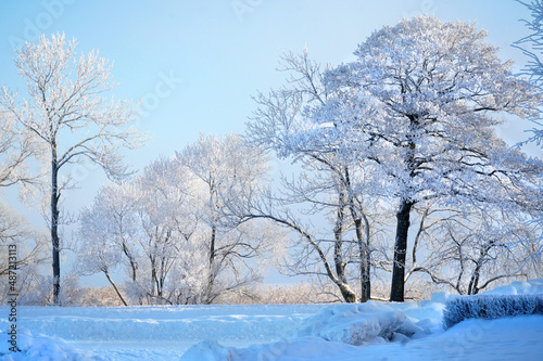 Winter landscape. The trees with frost. Frost and snow