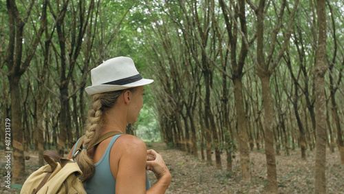 The traveler walks between trees plantation agriculture of asia for natural latex extraction milk in traditional. Young blonde woman with plait in hat walks to rubber tree.
