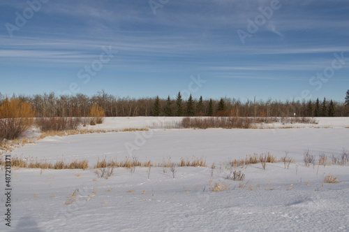 Wallpaper Mural Pylypow Wetlands in the Winter Torontodigital.ca