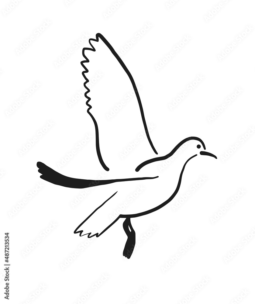 Obraz premium Taking off bird, contour