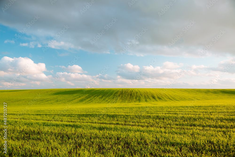 Perfect view of green rural land and cultivated fields.