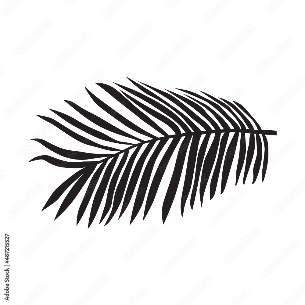 illustration of a palm branch illustration of a palm branch