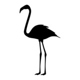 silhouette of a flamingo bird
