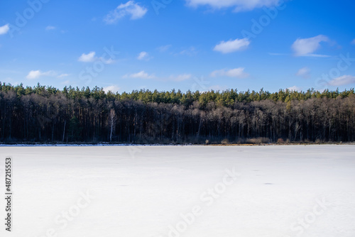 Dense forest behind a white snowy frozen lake against blue sky © Irik