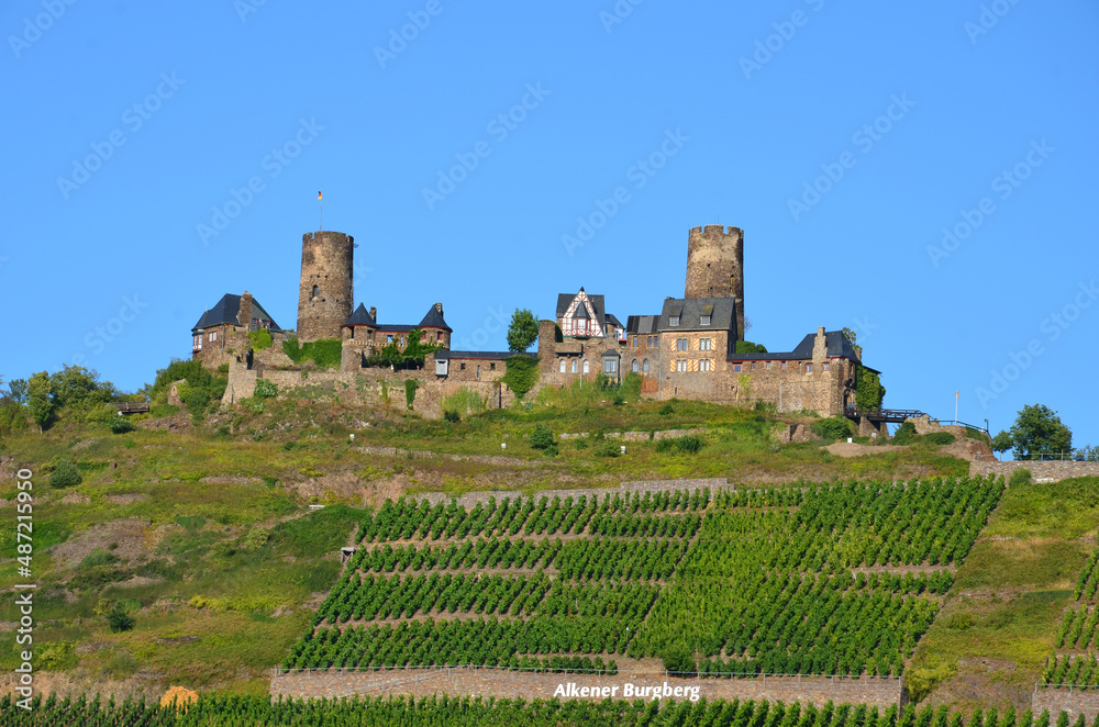 The castle Thurant in Hunsrück on the Alkener castle mountain which is planted with grapes with blue sky