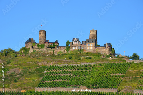 The castle Thurant in Hunsrück on the Alkener castle mountain which is planted with grapes with blue sky