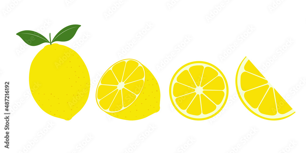 Set of fresh lemones. Lemon fruit isolated on white background. Vector illustration for design and print