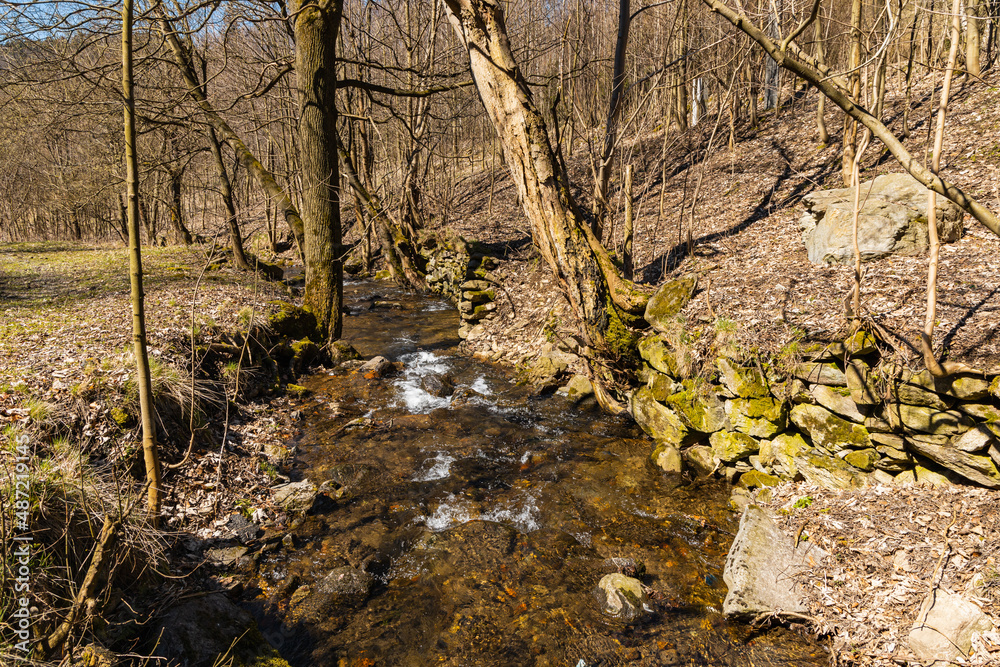 Long mountain stream next to mountain trail