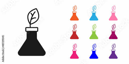 Black Plant breeding icon isolated on white background. Plants growing in the test tubes. Organic food ,agriculture and hydroponic. Set icons colorful. Vector