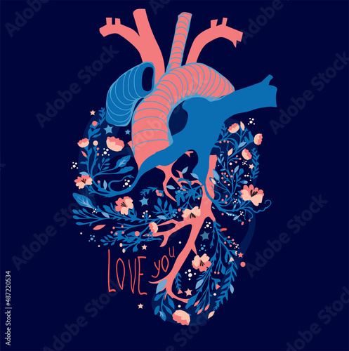 A heart/ Vector illustration