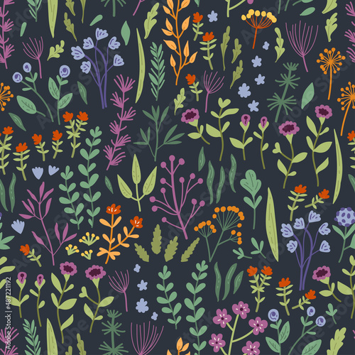 Vector seamless pattern with hand drawn wild plants  herbs and flowers  colorful botanical illustration  floral elements  hand drawn repeating background. Wild meadow herbs  flowering flowers