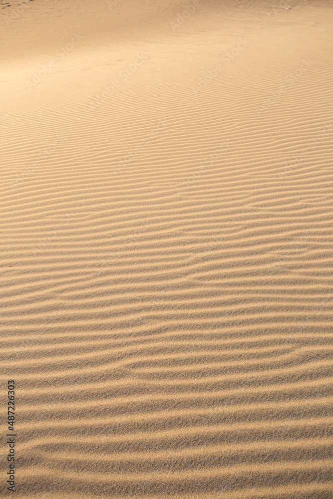Sand dune texture in the desert Sand dune texture in the desert