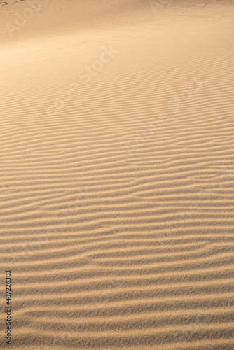 Sand dune texture in the desert