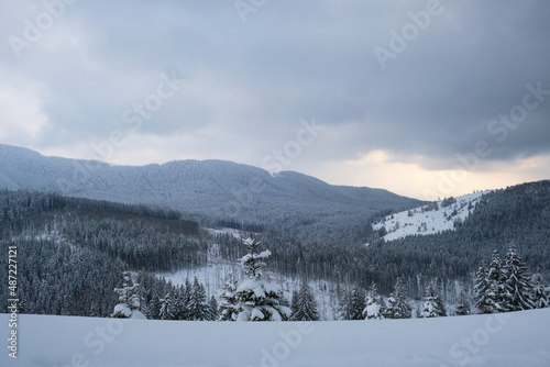 Aerial view of winter landscape with mountain hills covered with evergreen pine forest after heavy snowfall on cold quiet evening