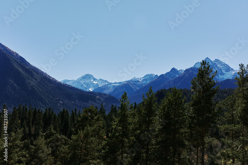 mountain forest blue sky sunny money nature landscape ecology