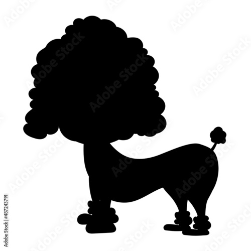 poodle glyph icon