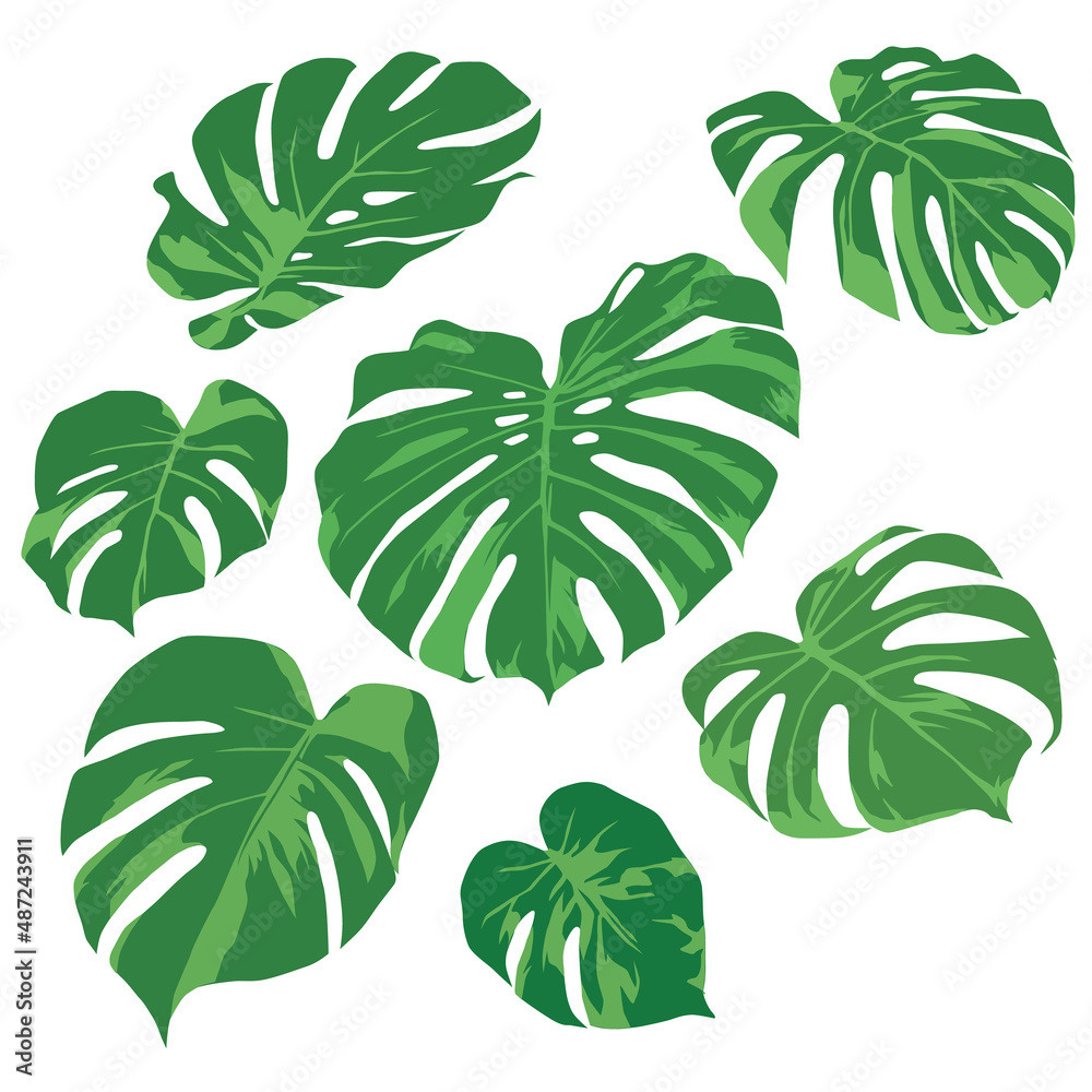 Greenery Leaves Pattern on illustration graphic vector