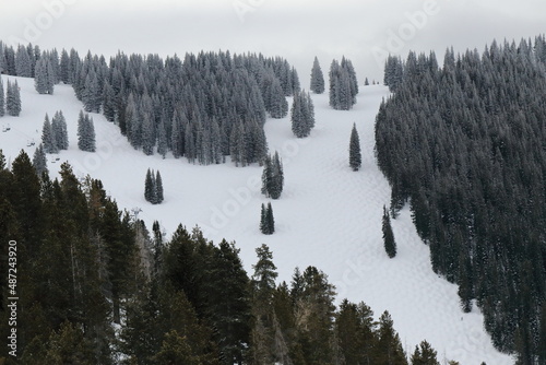 snow covered mountains in winter