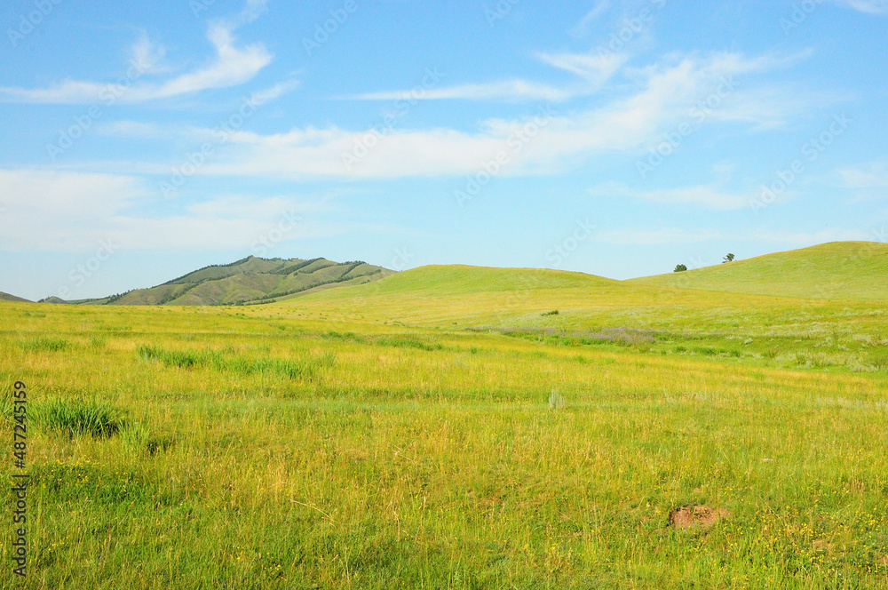 Endless steppes at the foot of high hills overgrown with grass under a summer sunny sky in the clouds.