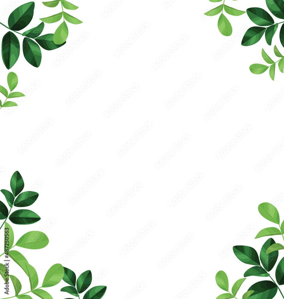 Decorative borders with foliage. Floral greeting card with place for text. Template for invitation card with forest leaves. Decorative borders with foliage. Floral greeting card with place for text. Template for invitation card with forest leaves.