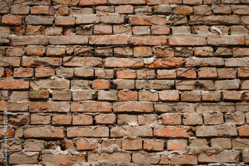 Obraz premium old brick wall
