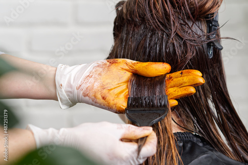 The hairdresser paints the woman's hair in a dark color, apply the paint to her hair. Getting beauty procedures. Barber hair dye is applied with a brush