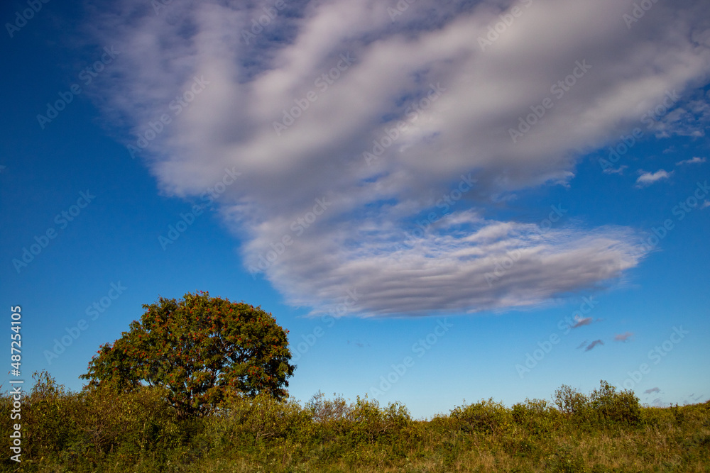 青い空と白い雲
