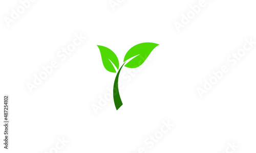 green plant isolated on white © rian