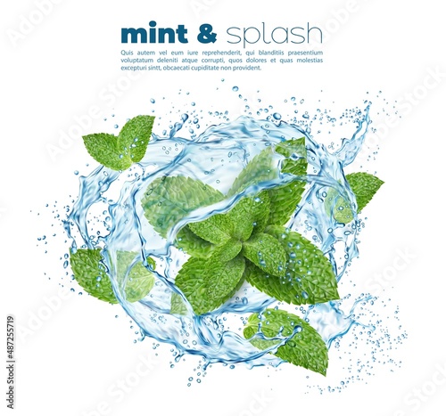 Water wave swirl splash with green mint leaves, cool mint or peppermint and menthol spearmint drink vector background. Realistic transparent flow of lemonade soda or cocktail with mint in splash