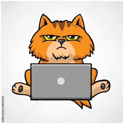Cat Grumpy Cute Working on Laptop Cartoon Vector Design Icon Illustration
