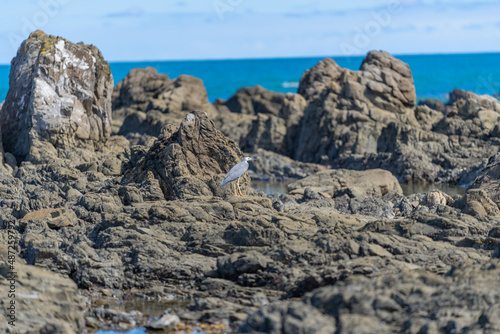 Rugged rocky coastline and view to horizon on east coast of Bay Of Plenty, New Zealand at Te Kaha.