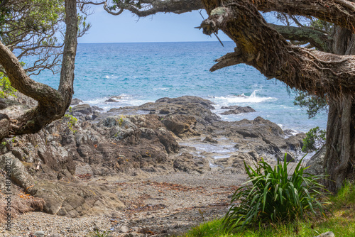 View between pohutukawa trees on shore over rocky foreshore to horizon.