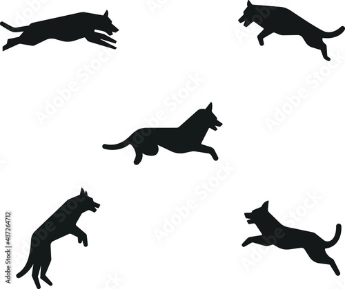 Jumping shepherd dog silhouette
